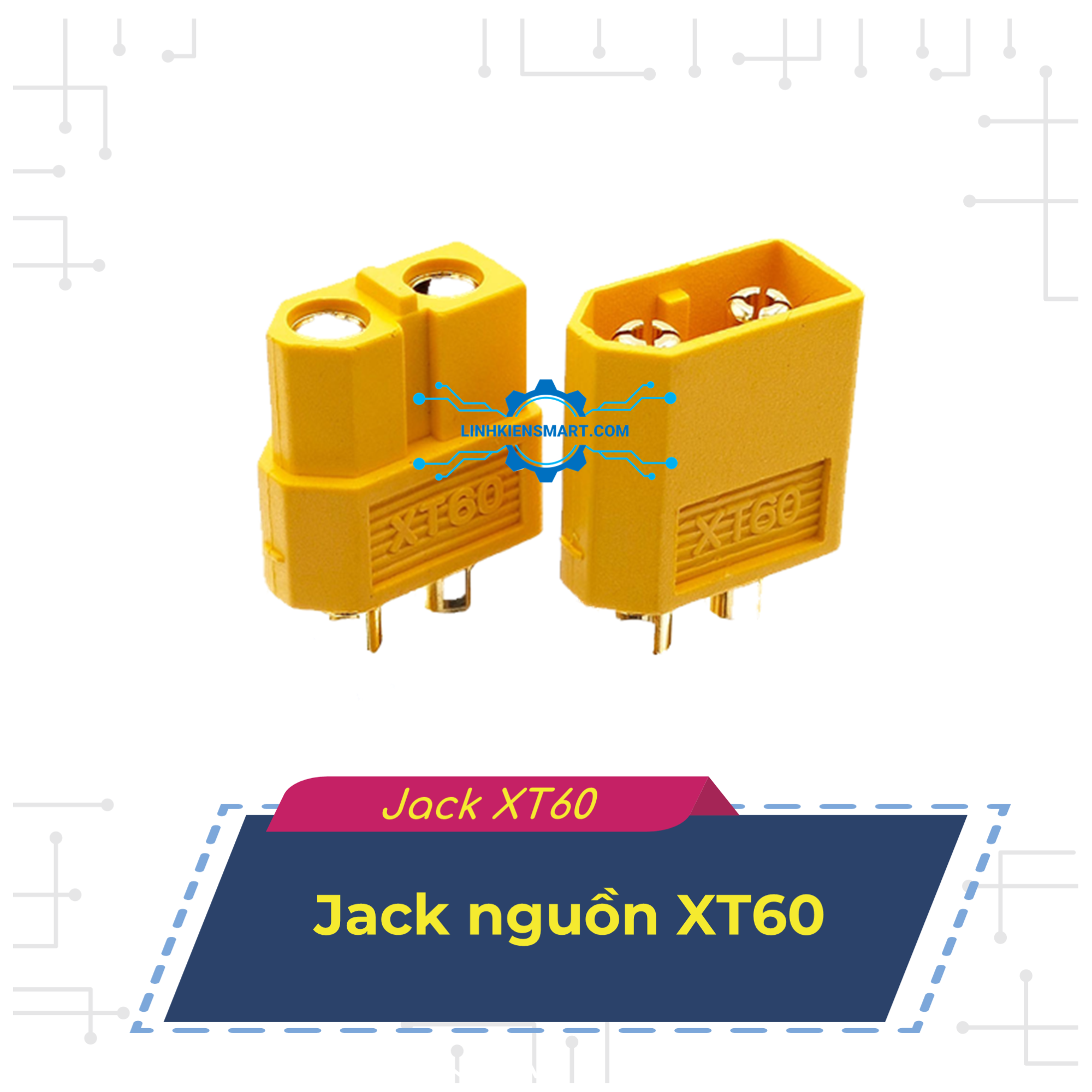 XT60
